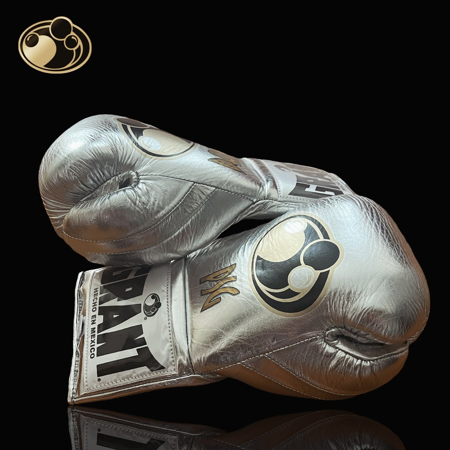 Grant Boxing Gloves Silver Training