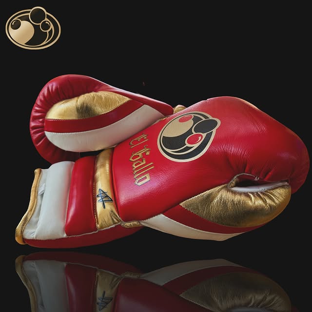 Grant Boxing Gloves Red/White/Gold Custom