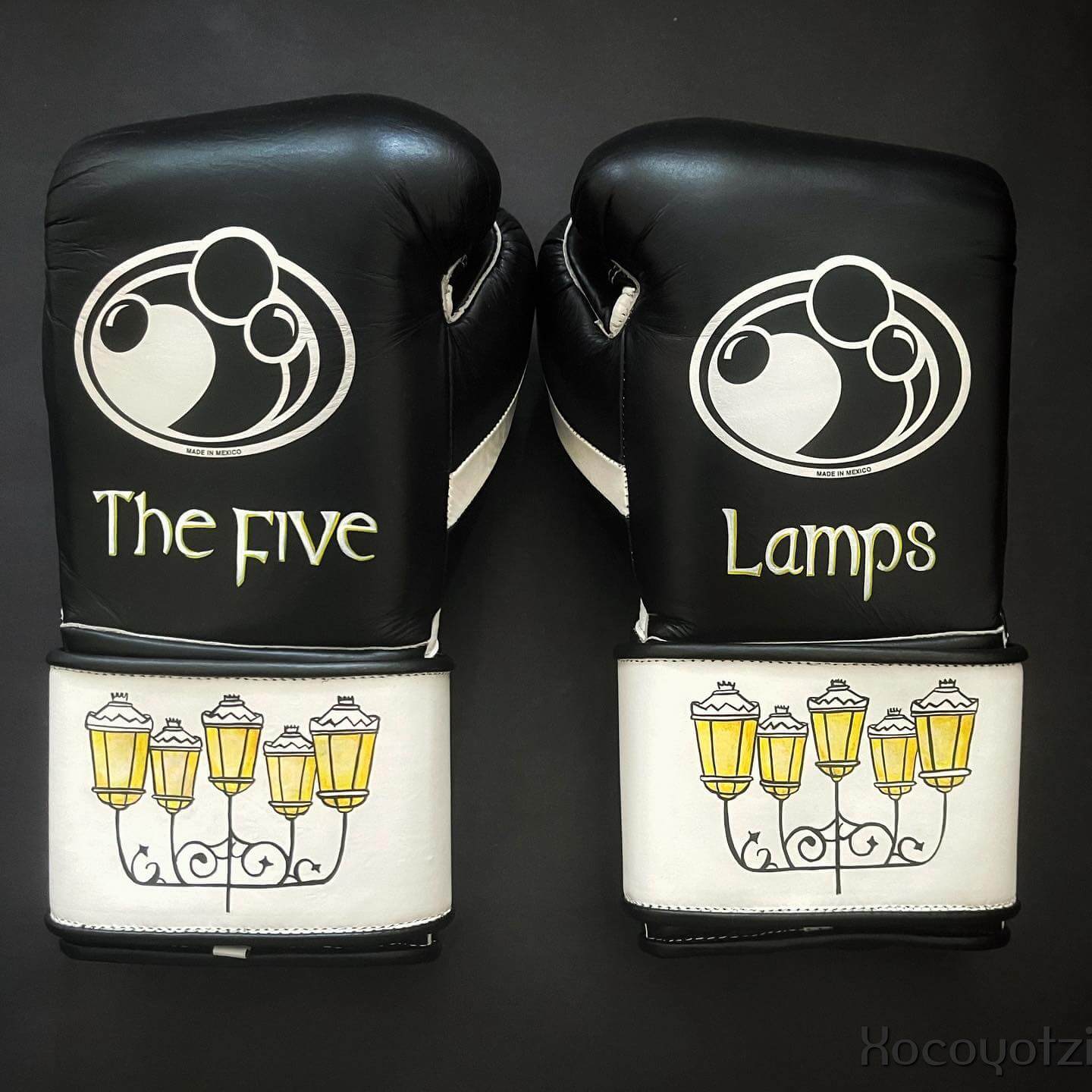 Grant Boxing Gloves in Black/White colorway - Professional Velcro training gloves