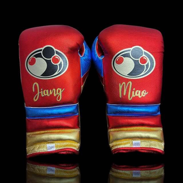 Grant Boxing Gloves in Red/Gold/Blue colorway - Professional Lace-Up training gloves