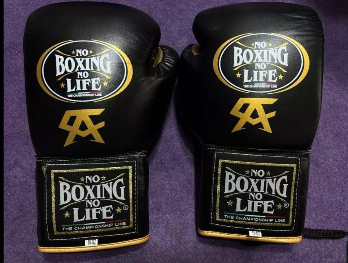 No Boxing No Life Boxing Gloves Black/Gold Custom