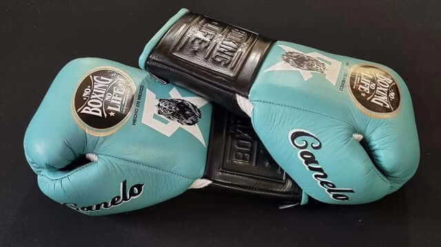 No Boxing No Life Boxing Gloves Sea-Green/Black/White Custom Fit