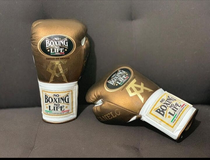No Boxing No Life Boxing Gloves Brown/White Heavy Bag
