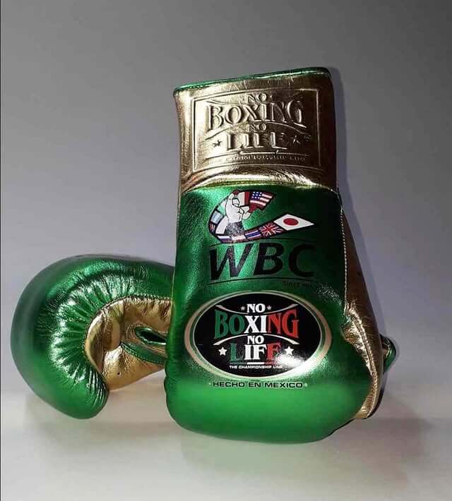 No Boxing No Life Boxing Gloves Green/Gold Custom Fit