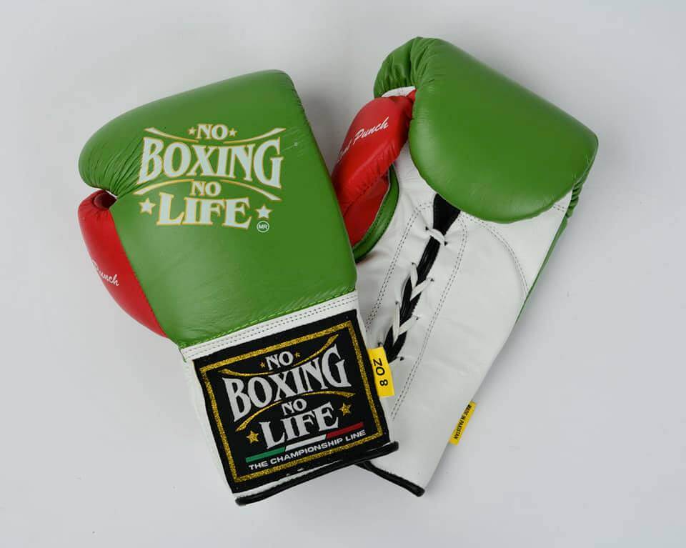 No Boxing No Life Boxing Gloves Green/White/Red Training