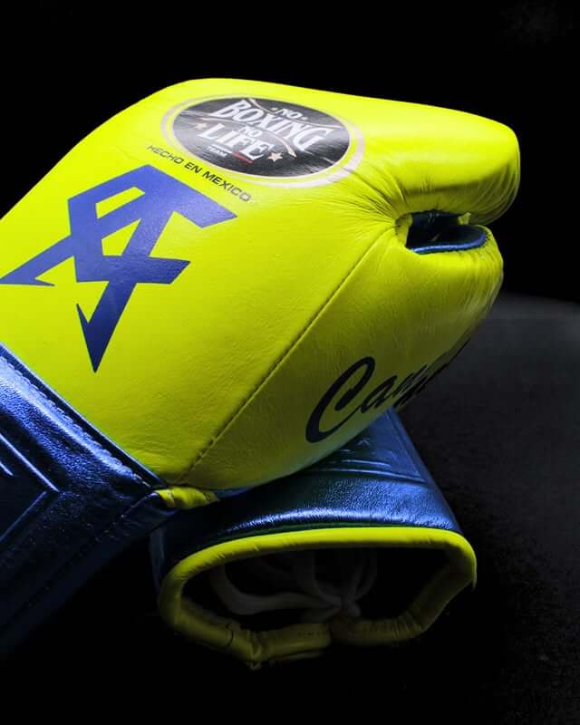 No Boxing No Life Boxing Gloves Parrot/Blue Custom