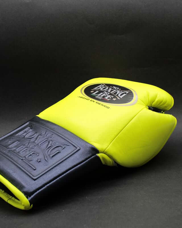 No Boxing No Life Boxing Gloves Parrot/Grey Heavy Bag