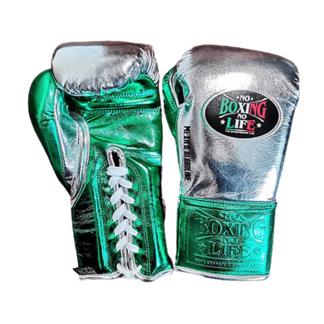 No Boxing No Life Boxing Gloves Silver/Green Fight Gear