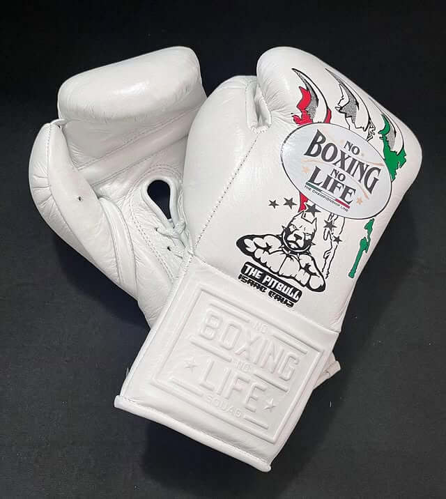 No Boxing No Life Boxing Gloves White Customizable