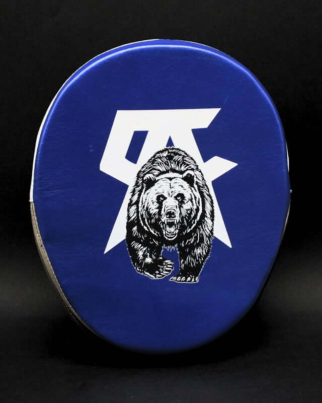 No Boxing No Life Punching Mitts Blue/Silver Leather