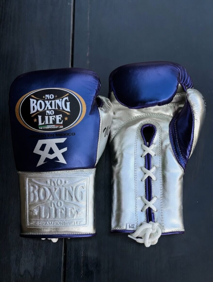 No Boxing No Life Boxing Gloves Dark-Blue/Silver Heavy Bag