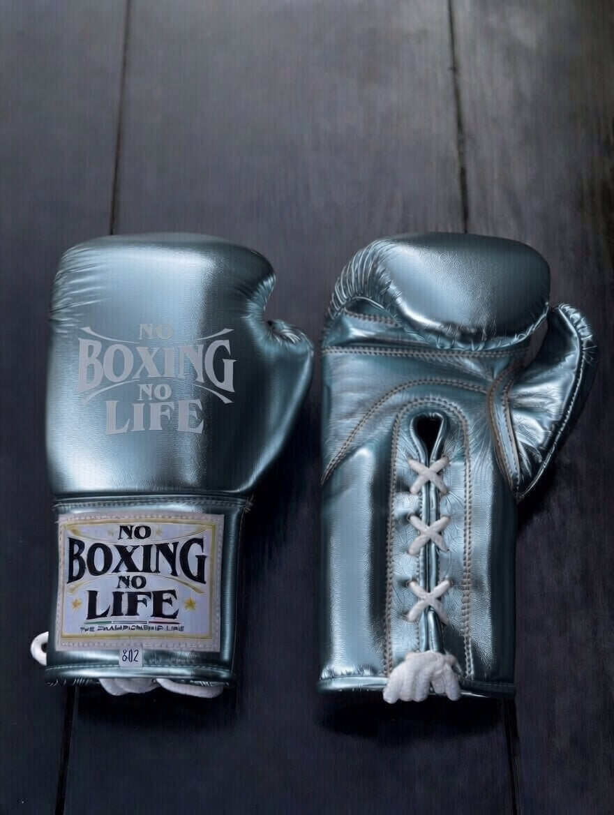 No Boxing No Life Boxing Gloves Silver Fight Gear