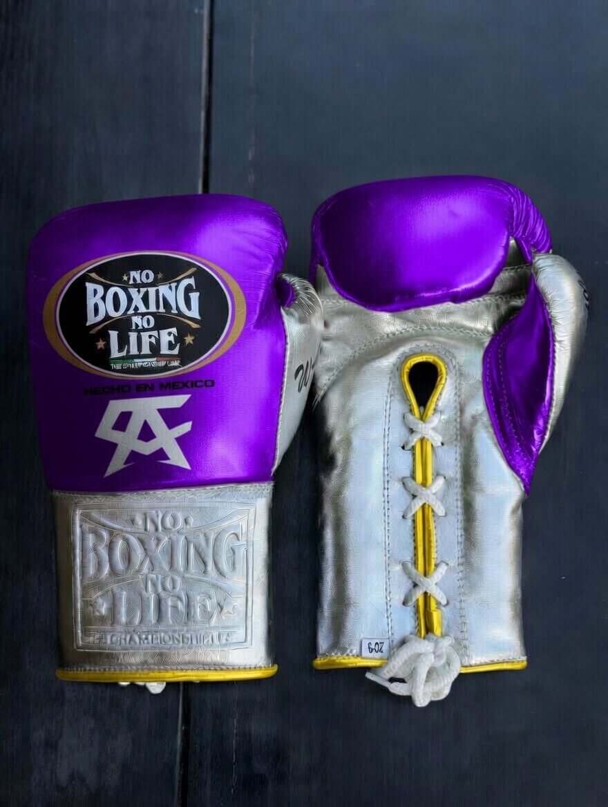 No Boxing No Life Boxing Gloves Purple/Silver/Gold Sparring