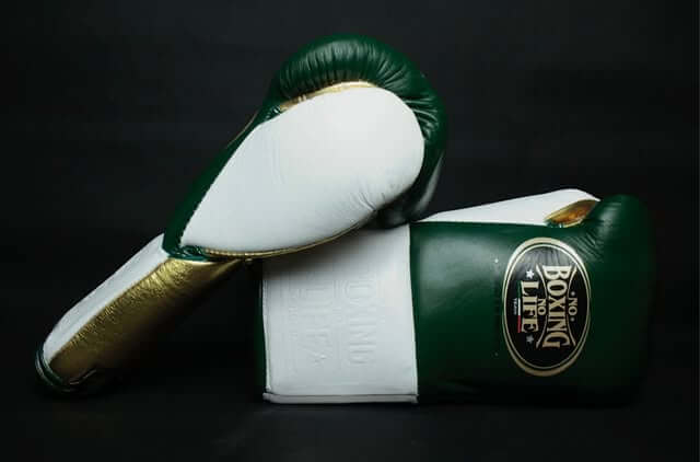No Boxing No Life Boxing Gloves Green/White/Gold Sparring