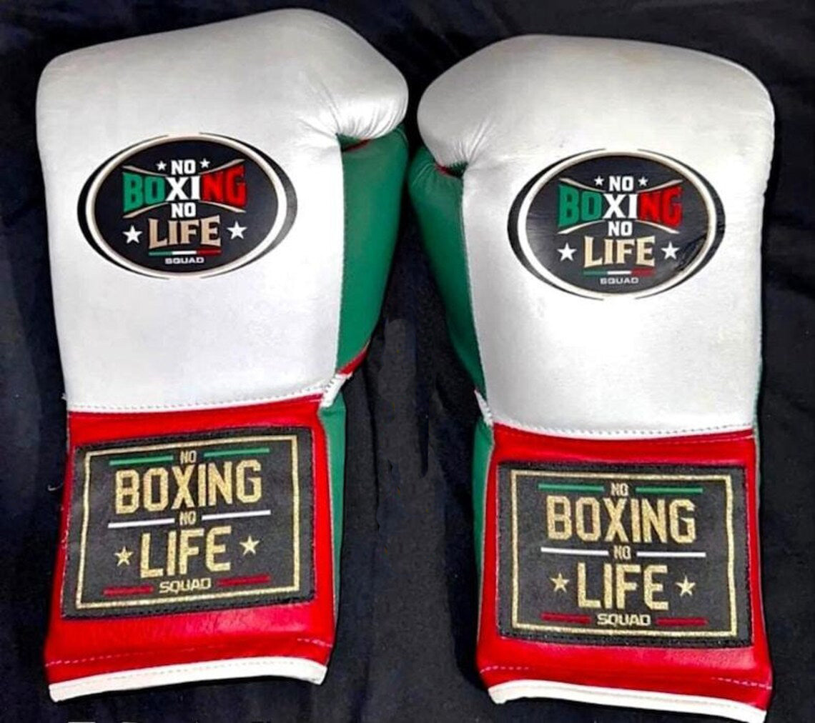 No Boxing No Life Boxing Gloves White/Red/Green Sparring
