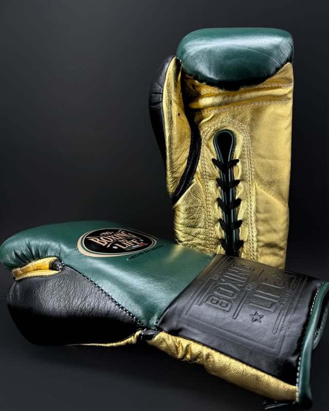 No Boxing No Life Boxing Gloves Green/Gold/Black Heavy Bag