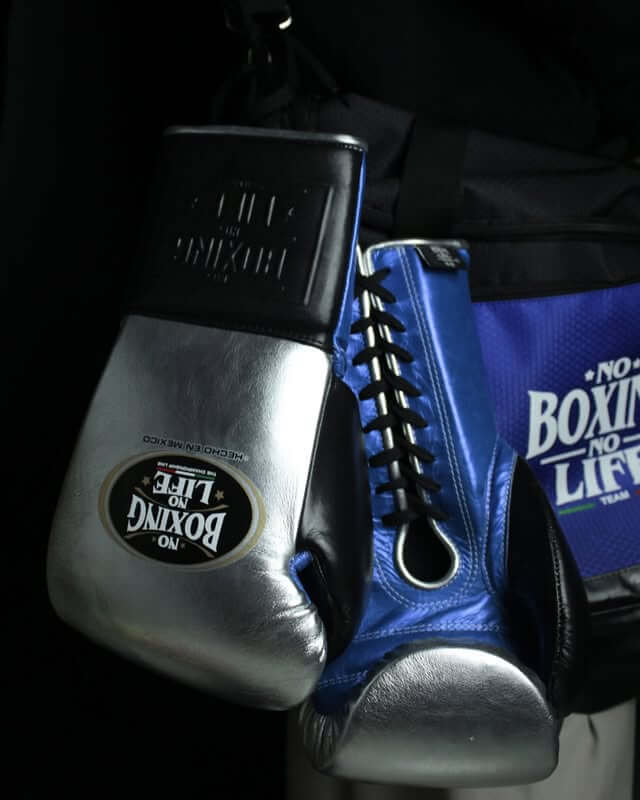 No Boxing No Life Boxing Gloves Silver/Blue/Black Training
