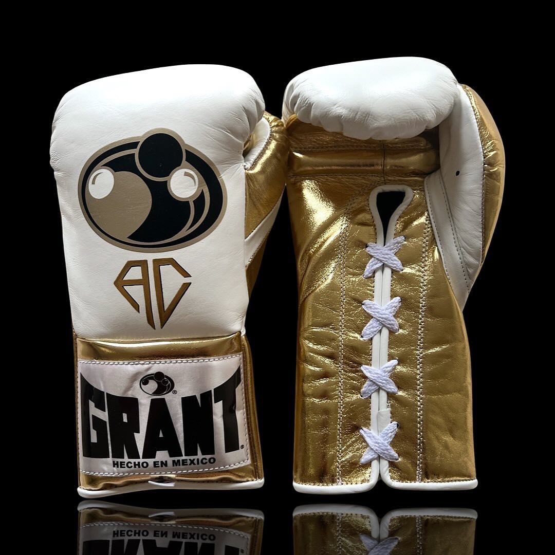 Grant Boxing Gloves White/Gold Sparring
