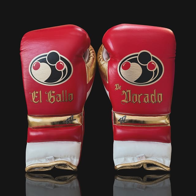 Grant Boxing Gloves Red/White/Gold Custom