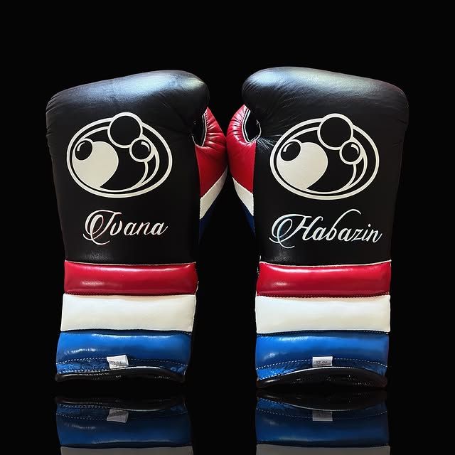 Grant Boxing Gloves Black/Red/White/Blue Boxing Training