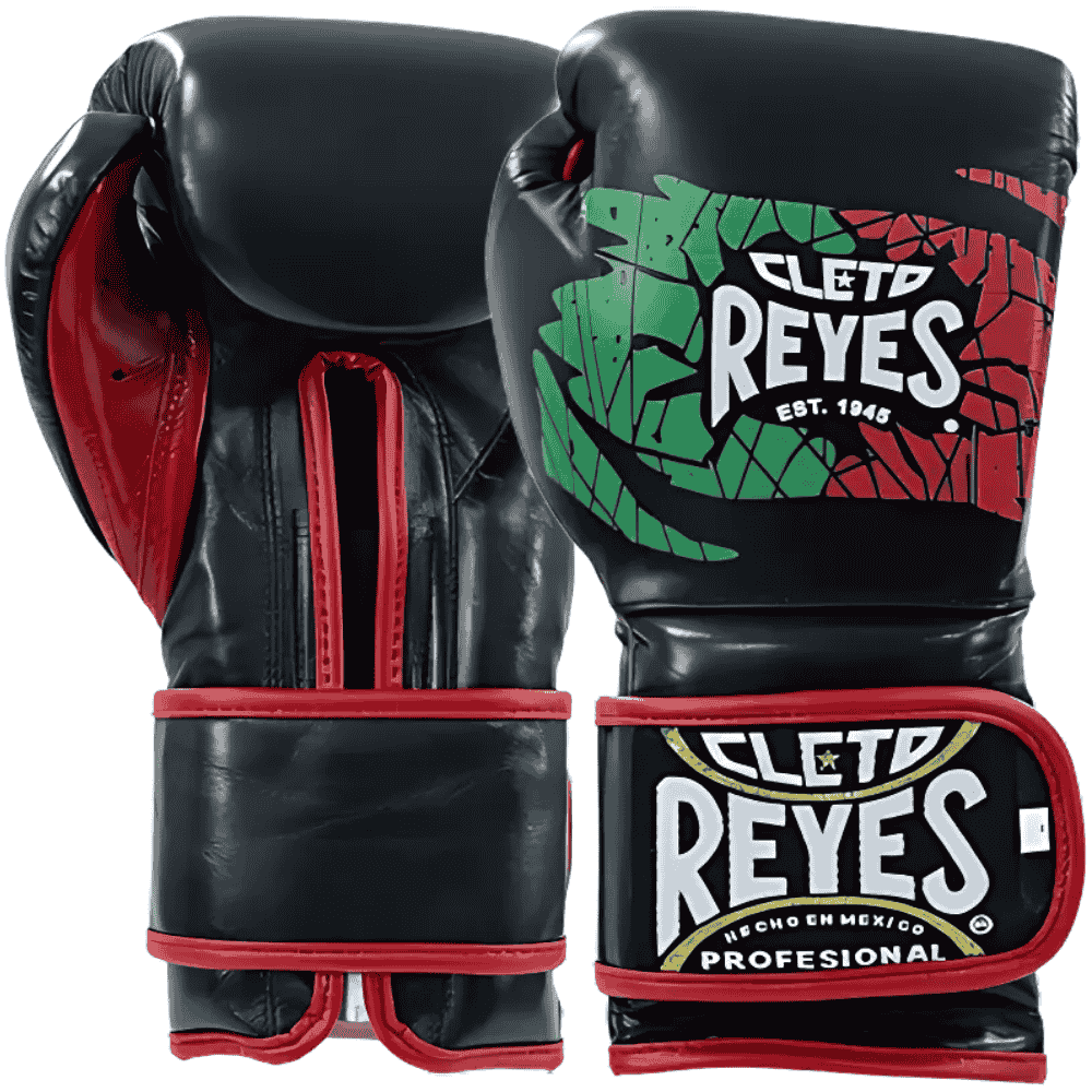 Cleto Reyes Boxing Gloves Black/Red/Green Sparring