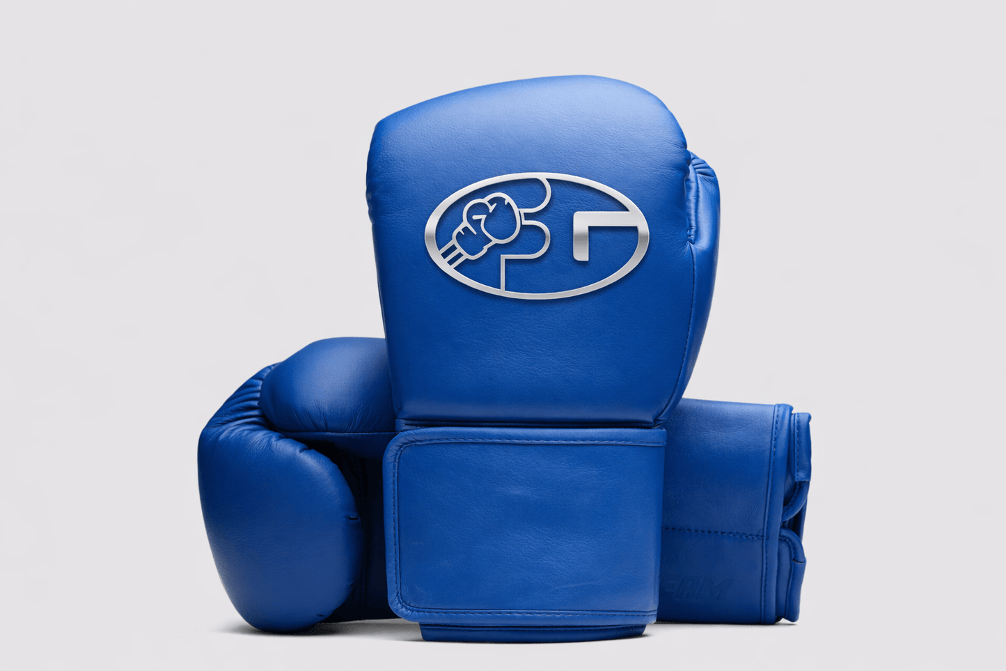 Fiest Winning Style Boxing Gloves Blue Training