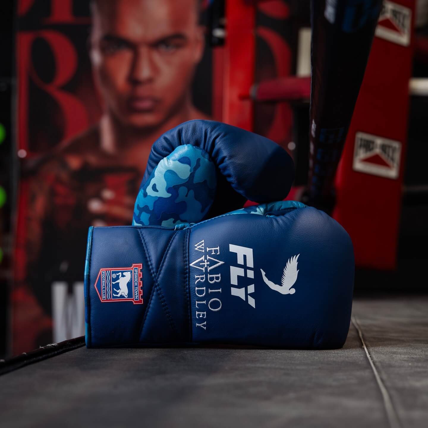 Fly Boxing Gloves Blue/White Custom
