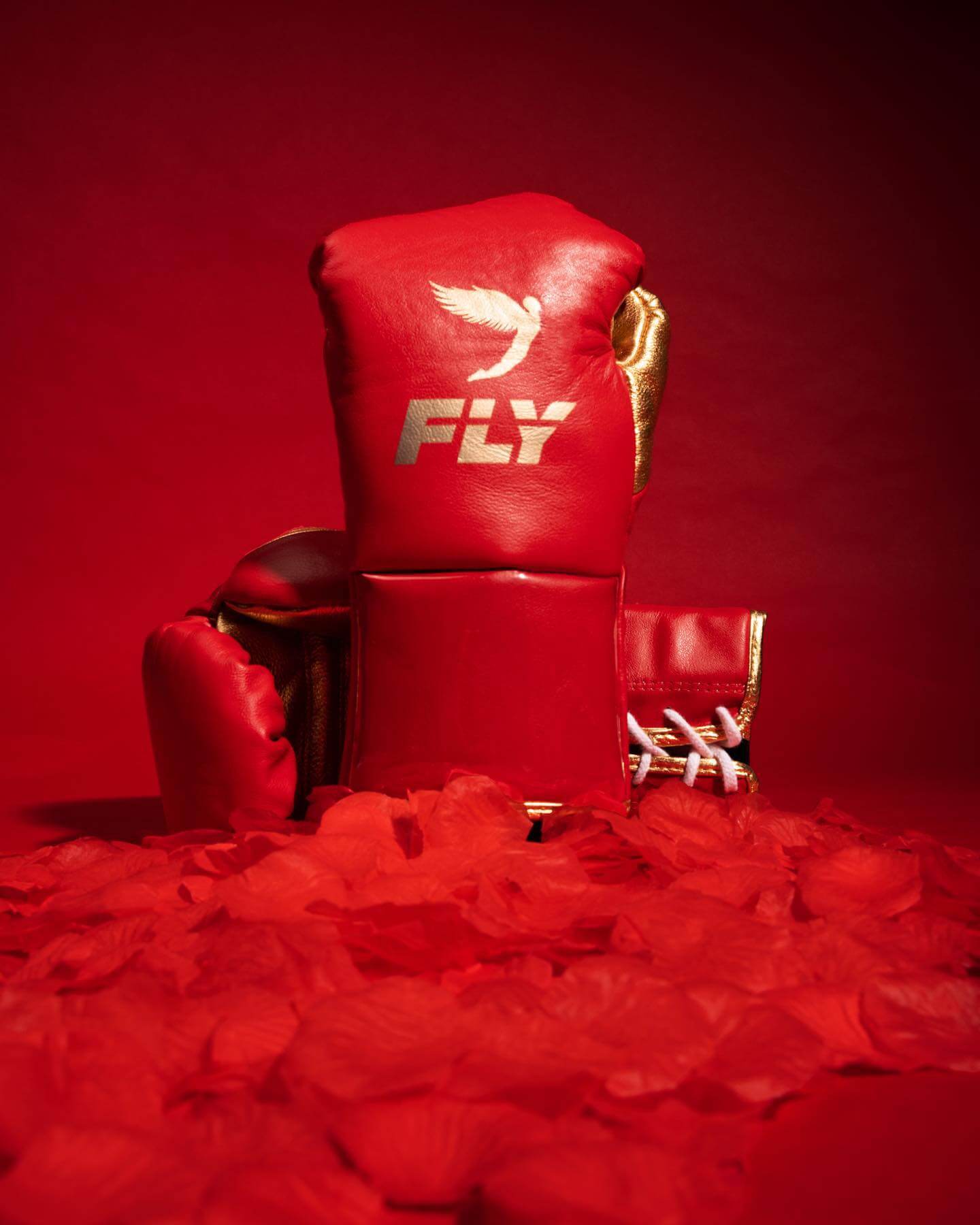 Fly Boxing Gloves Red/Gold Leather