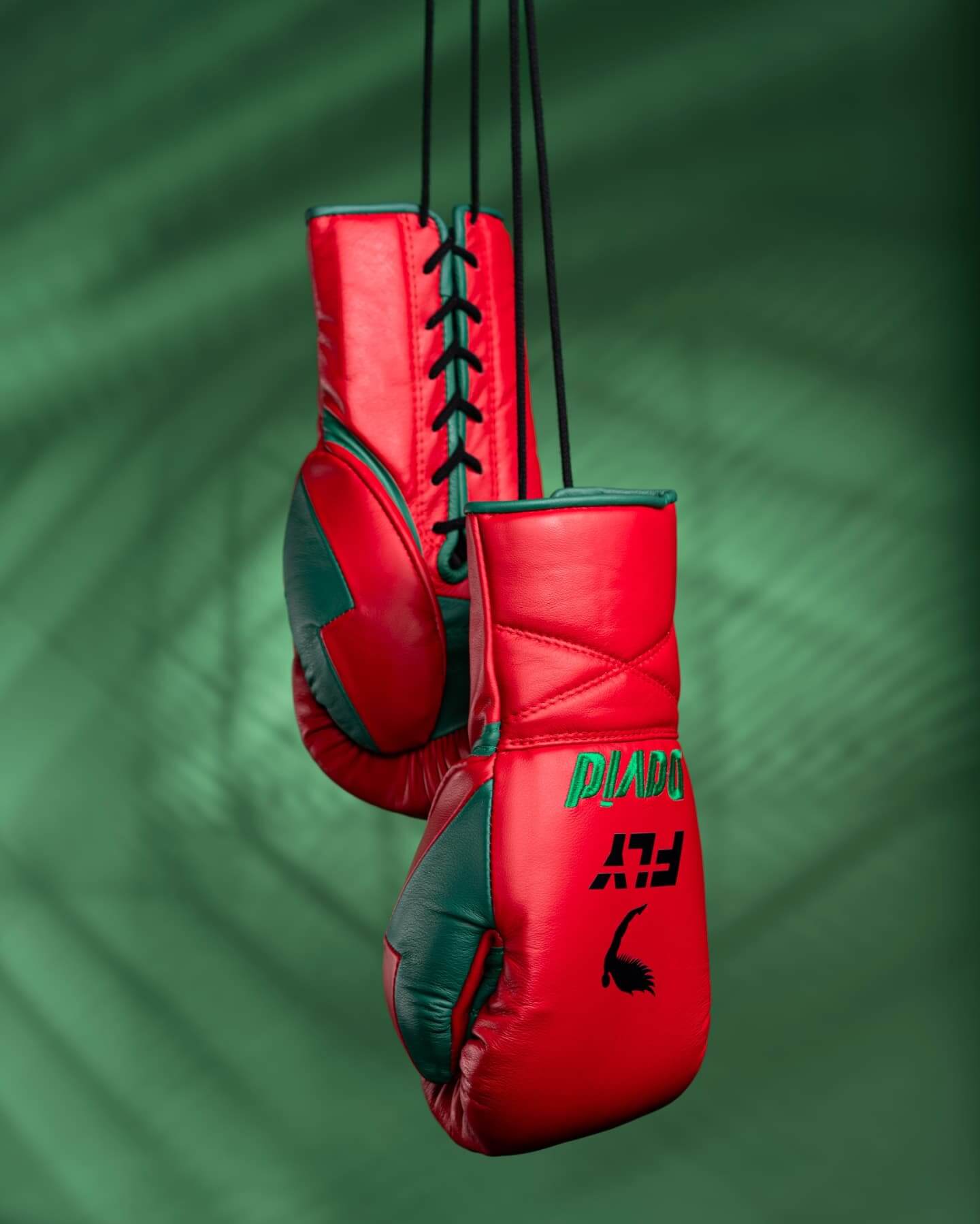 Fly Boxing Gloves Red/Green Boxing Training