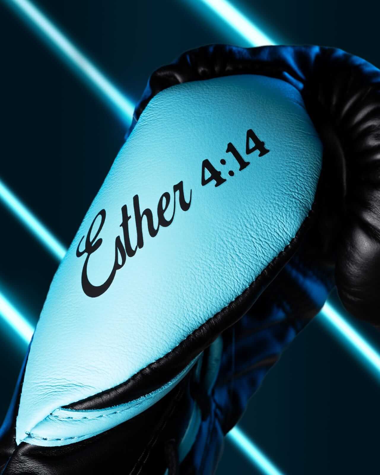 Fly Boxing Gloves Black/Blue Lace-Up