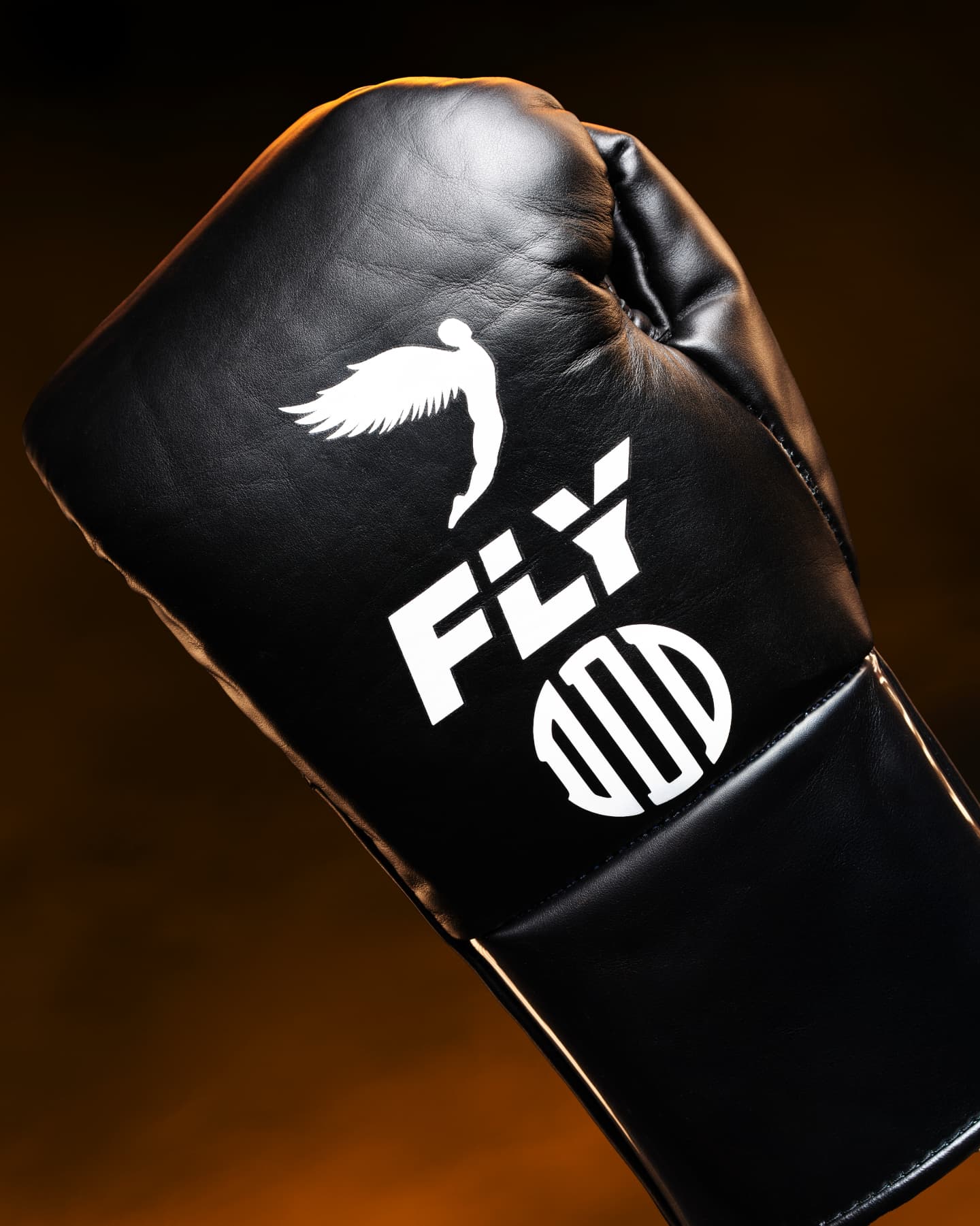 Fly Boxing Gloves Black/White Training