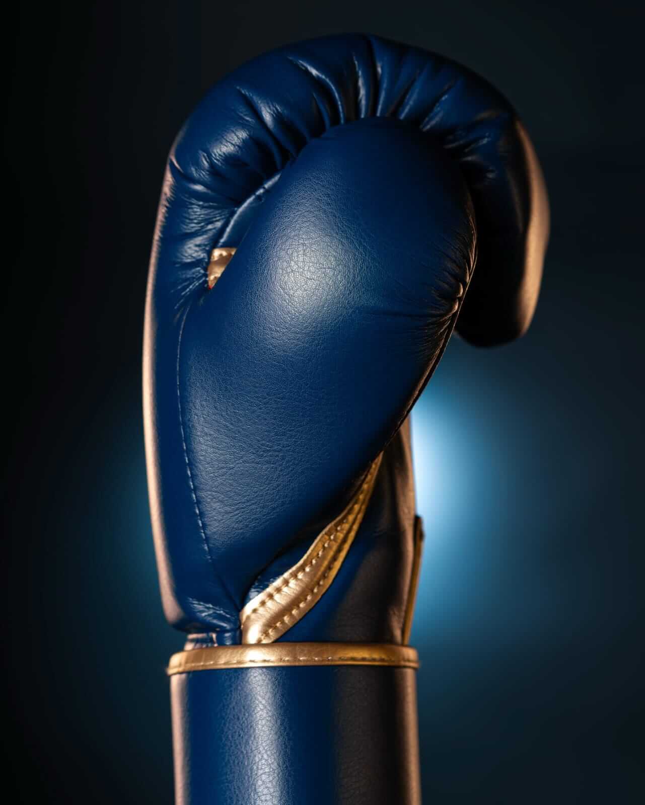 Fly Boxing Gloves Blue/Gold Velcro 16oz