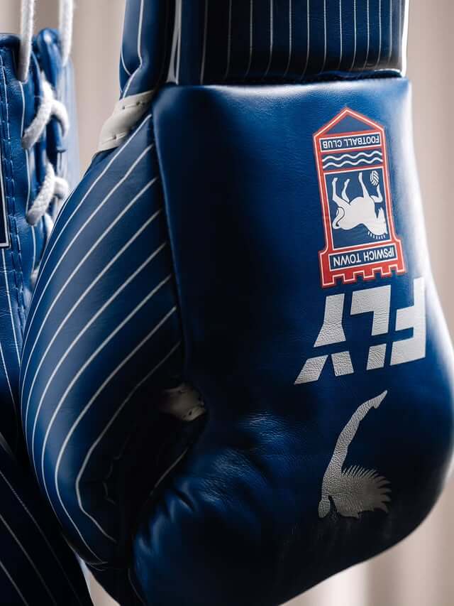 Fly Boxing Gloves Blue/White/Red Fitness Boxing