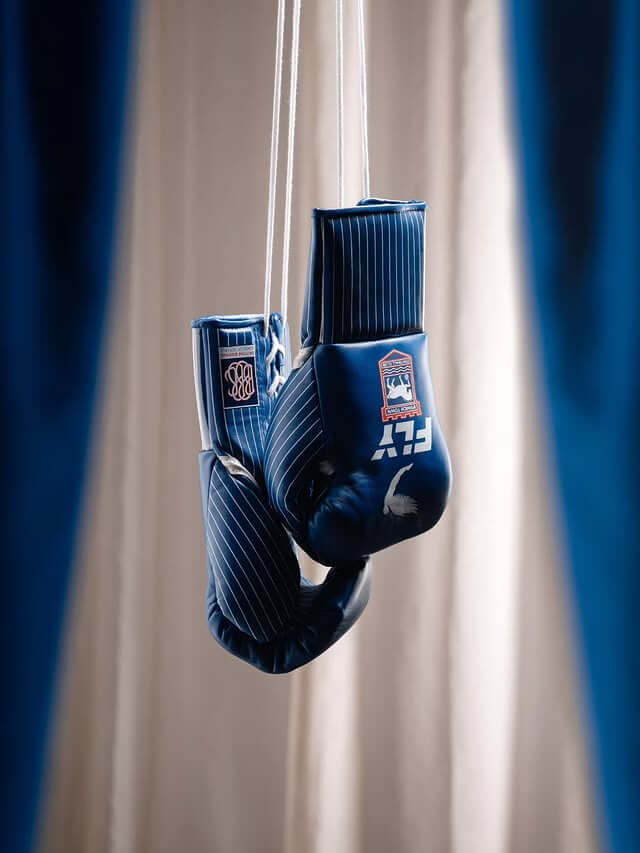 Fly Boxing Gloves Blue/White/Red Fitness Boxing