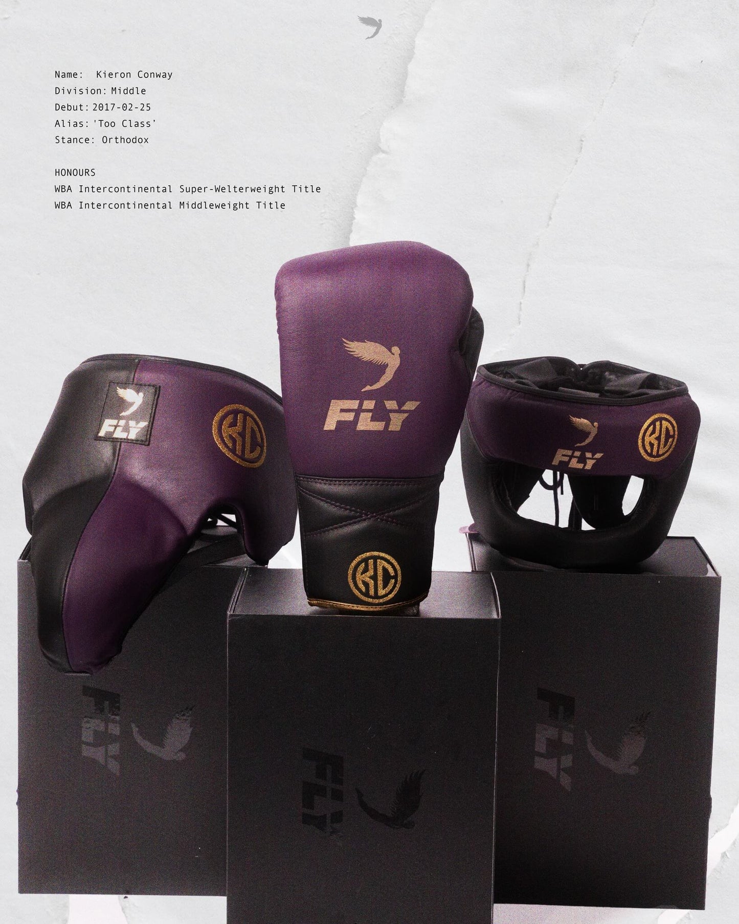 Fly Boxing Set Purple/Black Protective Gear