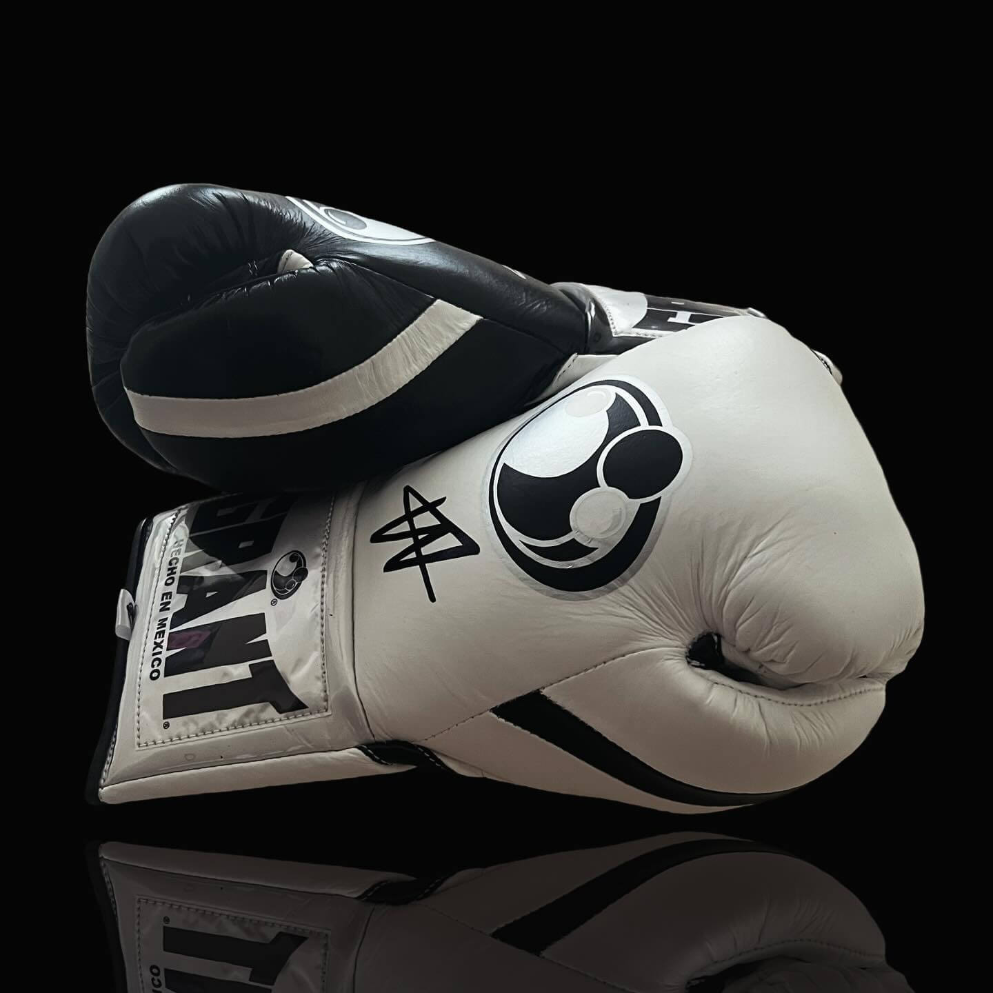Grant Boxing Gloves in Black/White colorway - Professional Lace-Up training gloves