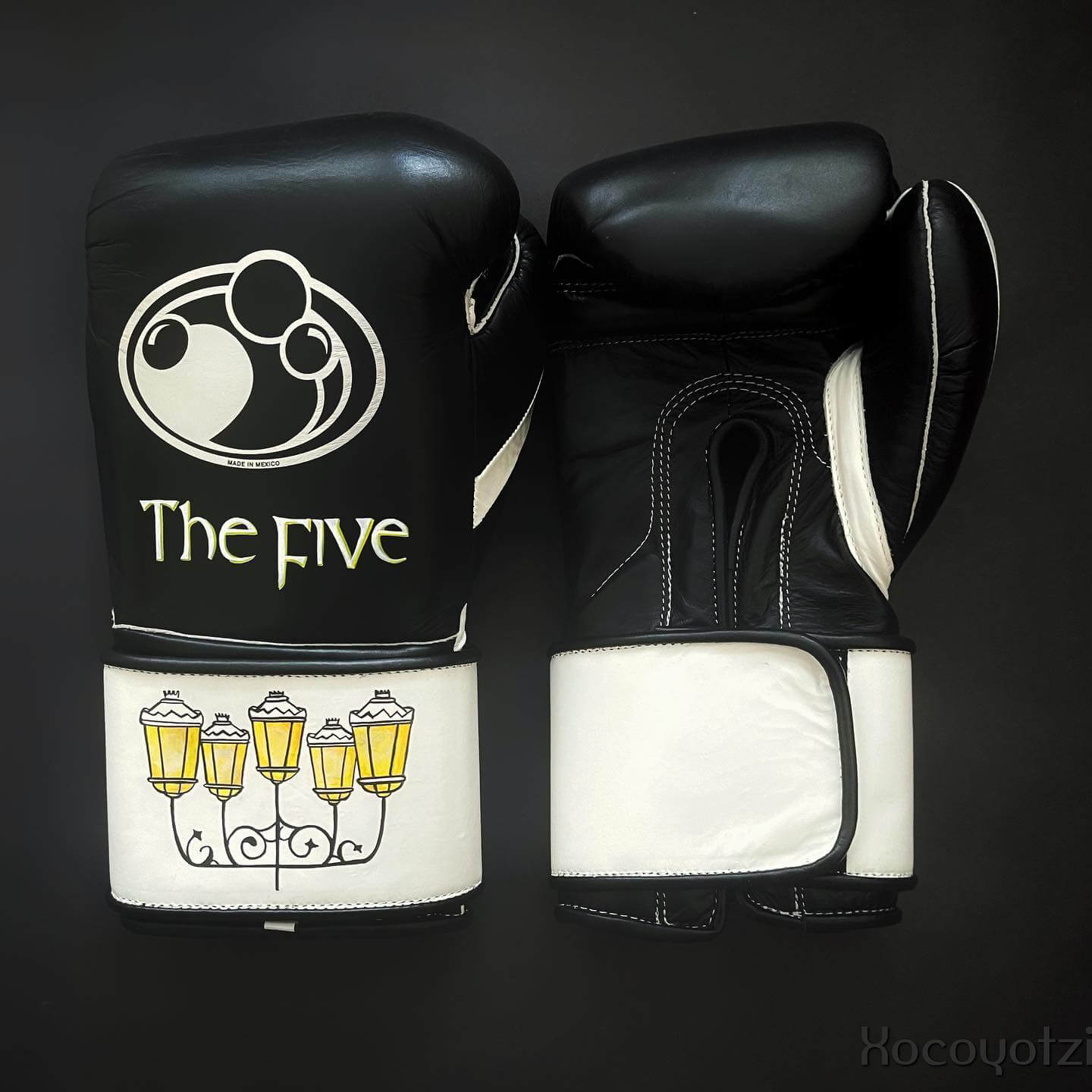 Grant Boxing Gloves in Black/White colorway - Professional Velcro training gloves