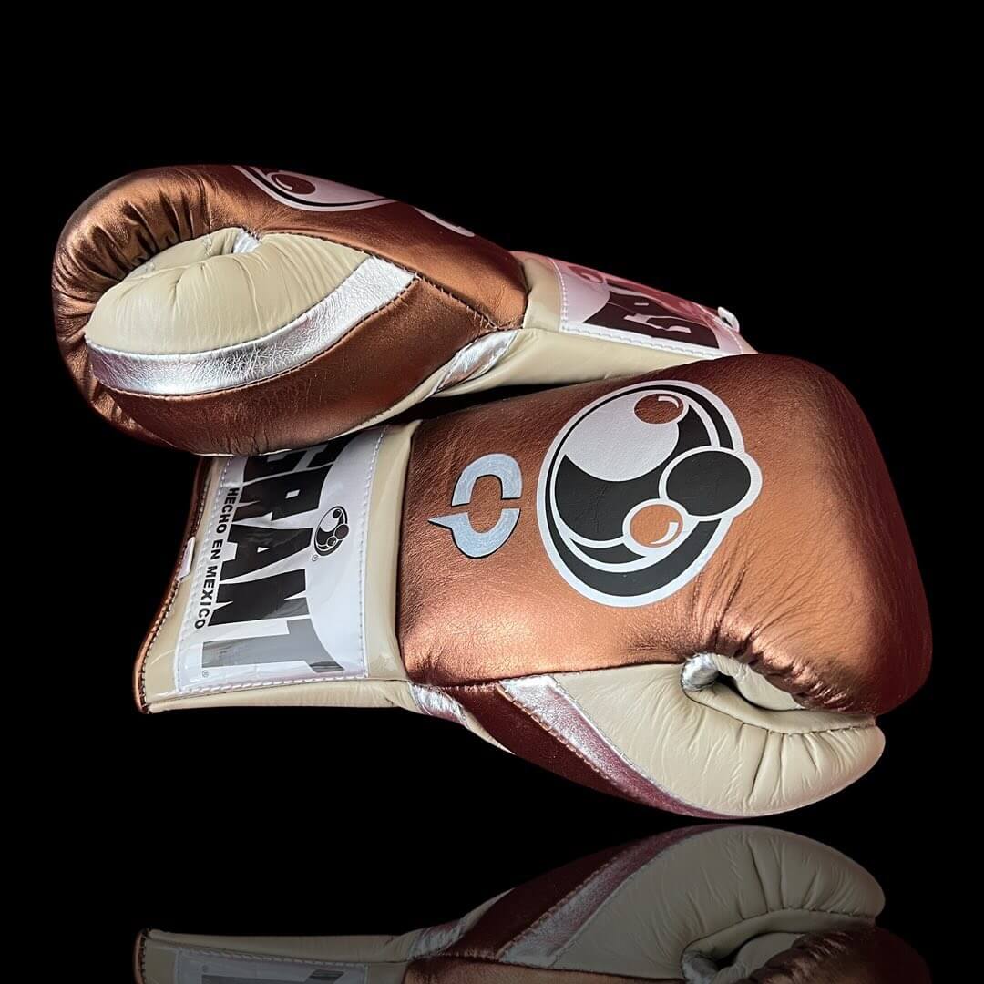 Grant Boxing Gloves in Brown/Beige/Silver colorway - Professional Lace-Up training gloves