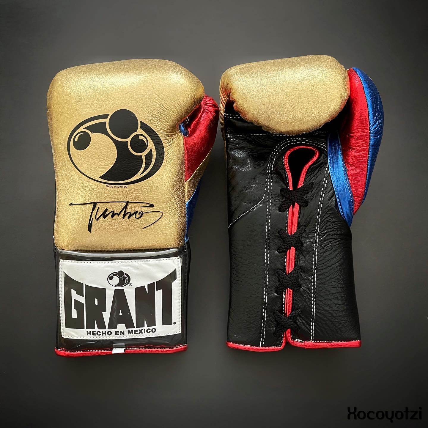 Grant Boxing Gloves in Gold/Black/Red colorway - Professional Lace-Up training gloves