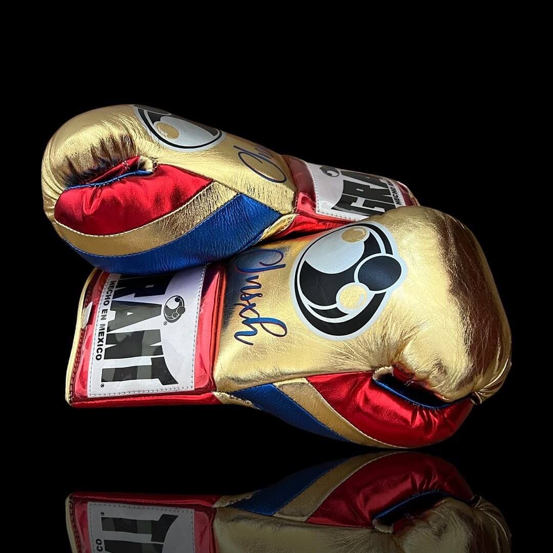 Grant Boxing Gloves in Gold/Blue/Red colorway - Professional Lace-Up training gloves