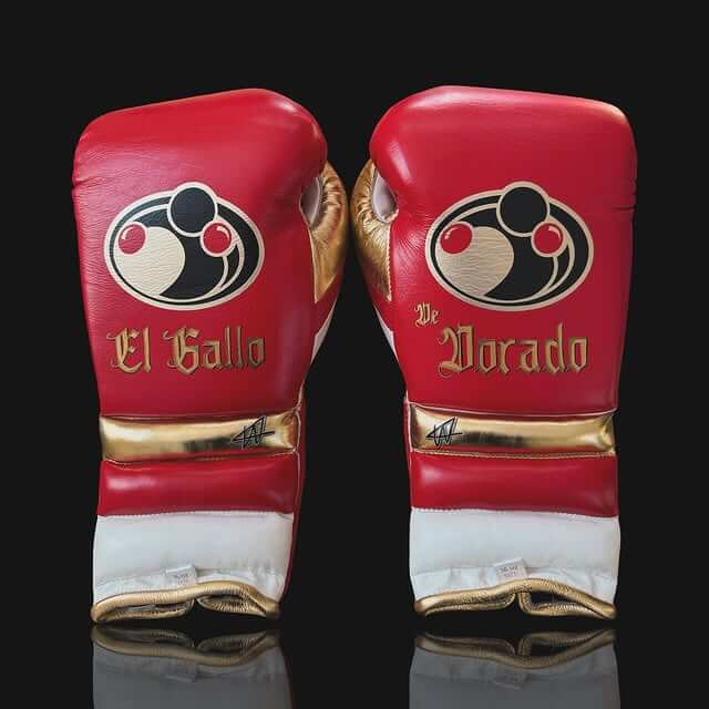 Grant Boxing Gloves in Red/White/Gold colorway - Professional Lace-Up training gloves