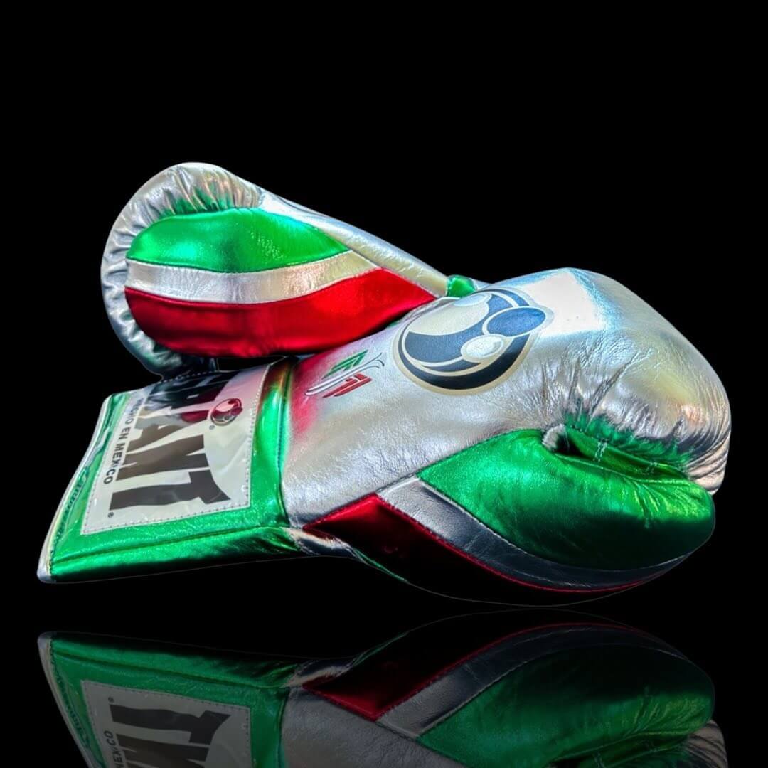 Grant Boxing Gloves in Silver/Red/Green colorway - Professional Lace-Up training gloves