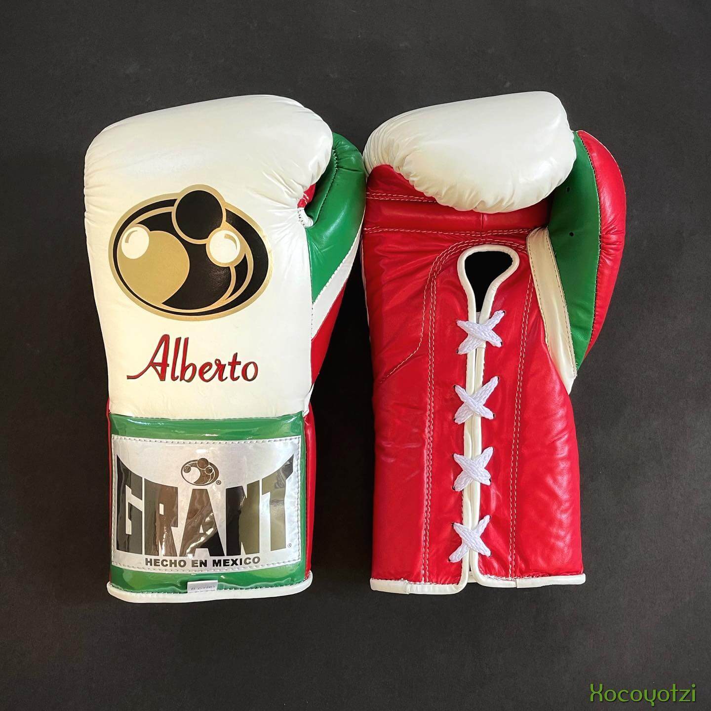 Grant Boxing Gloves in White/Red/Green colorway - Professional Lace-Up training gloves