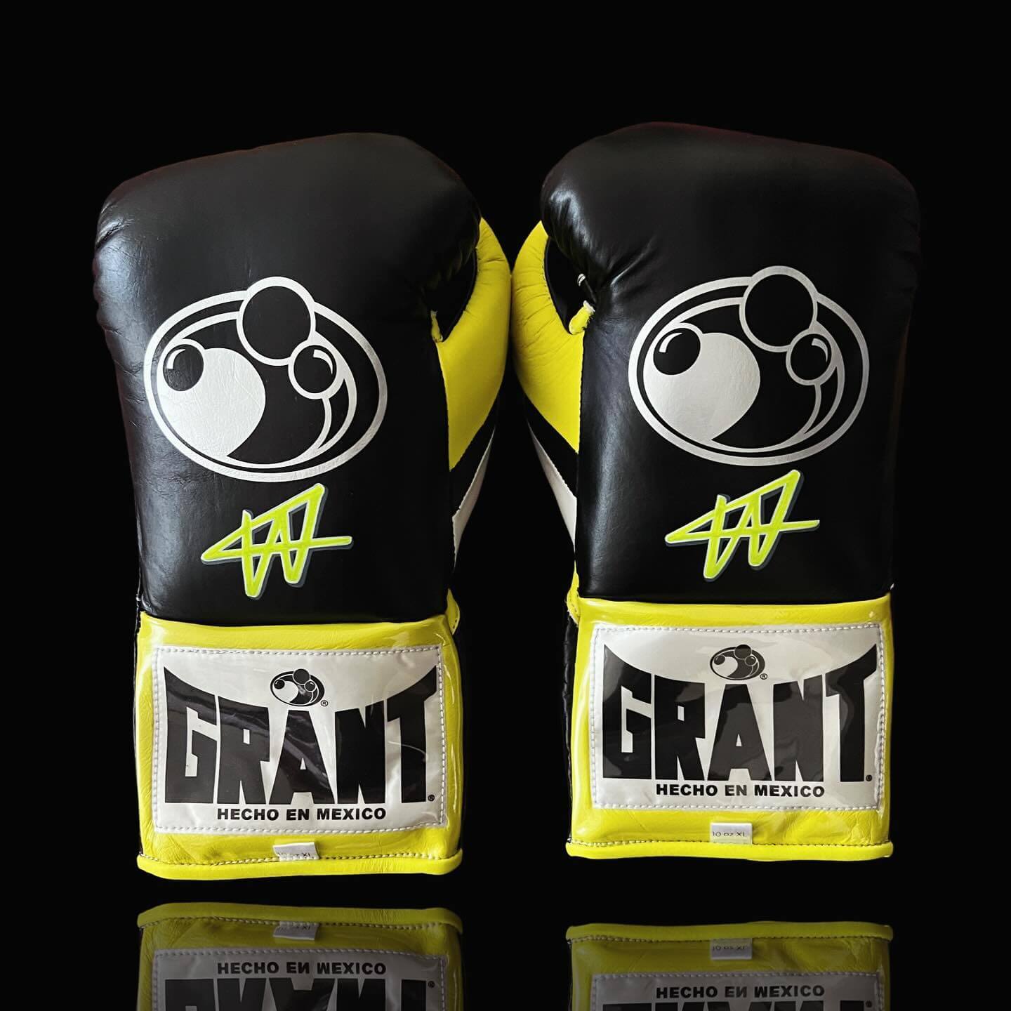 Grant Boxing Set Custom | Professional Perform Kit