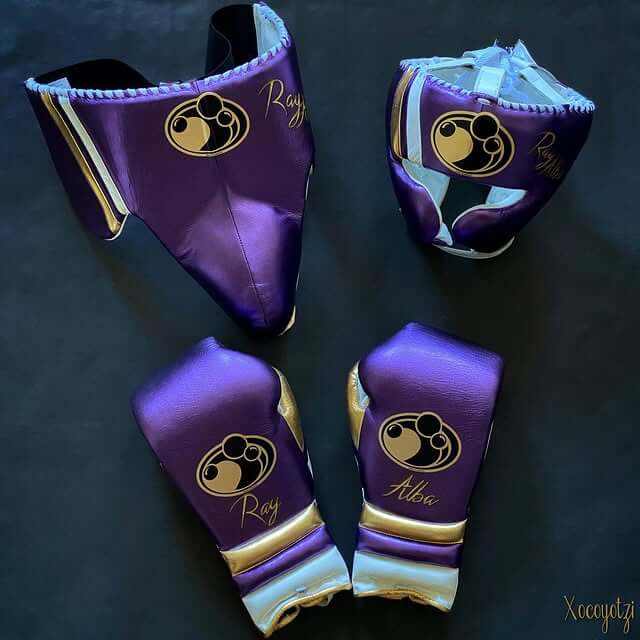Grant Boxing Set Custom | Professional Perform Kit