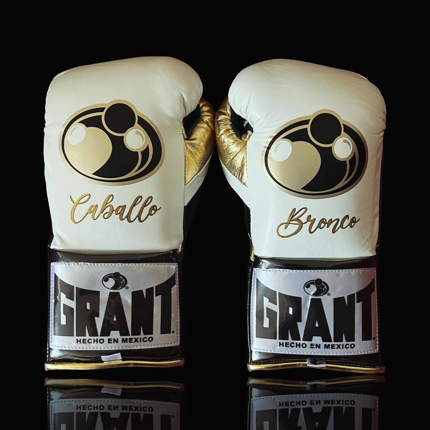 Grant Boxing Set Custom | Professional Perform Kit