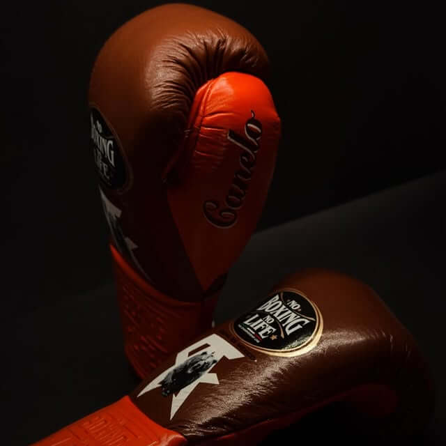 No Boxing No Life Boxing Gloves Brown/Orange Heavy Bag