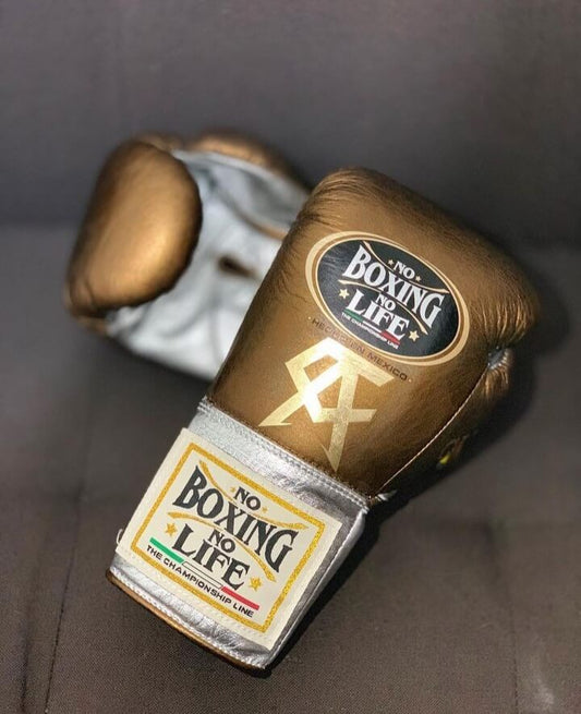 No Boxing No Life Boxing Gloves Brown/White Heavy Bag