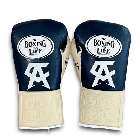 No Boxing No Life Boxing Gloves Dark-Blue/Beige Sparring