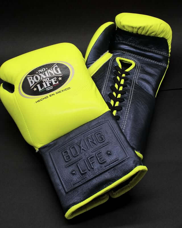 No Boxing No Life Boxing Gloves Parrot/Grey Heavy Bag